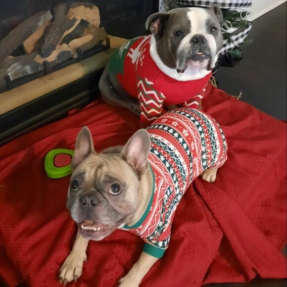 Live Share Show Flyer!! Join Me For Deals, Mystery Bags, Bingo and FUN!!!! - Picture 4 of 15